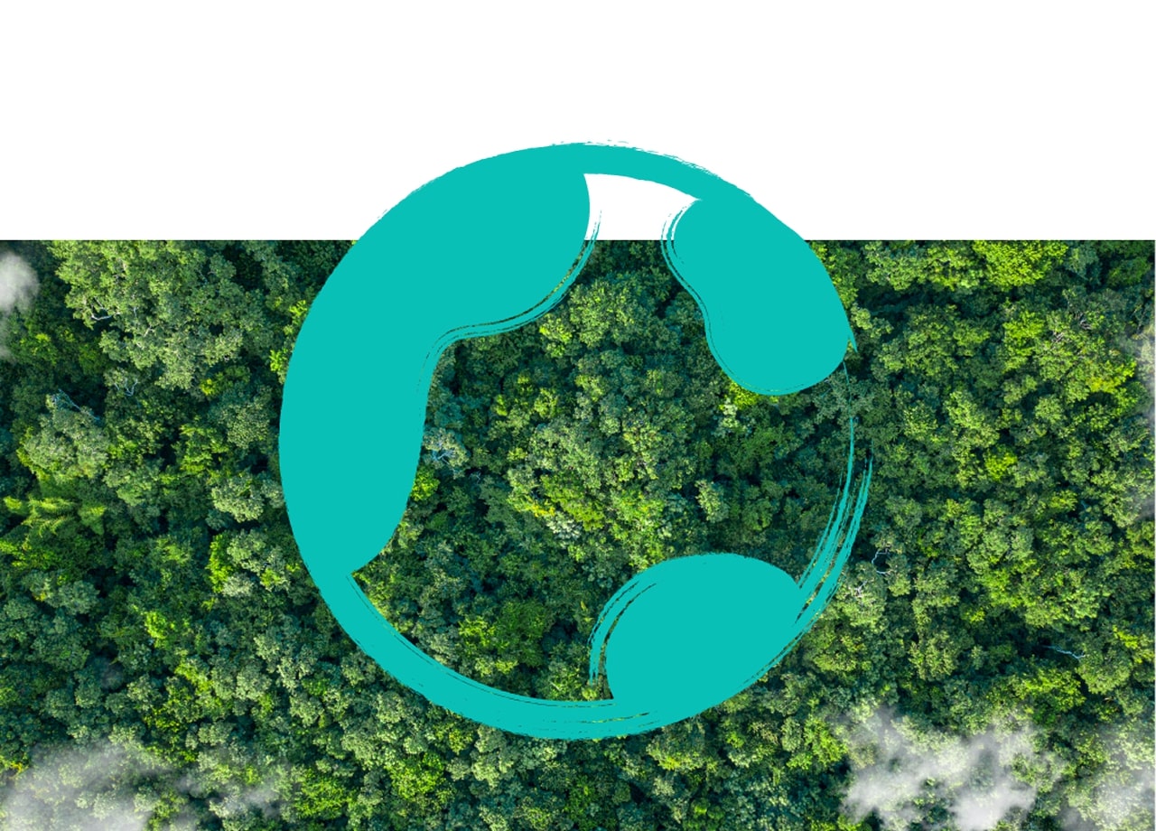 Cambridge sustainability logo over aerial view of green forest
